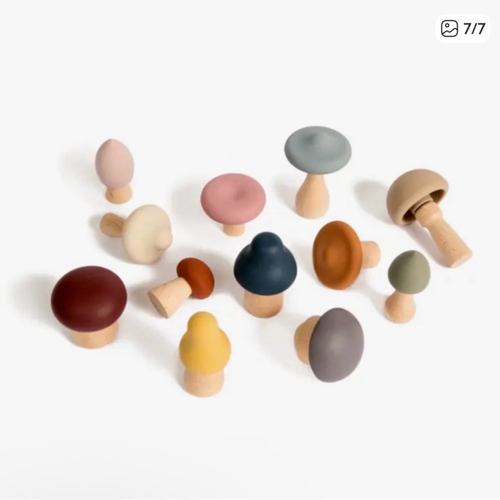 Wooden/Silicone Mushroom Sorting set